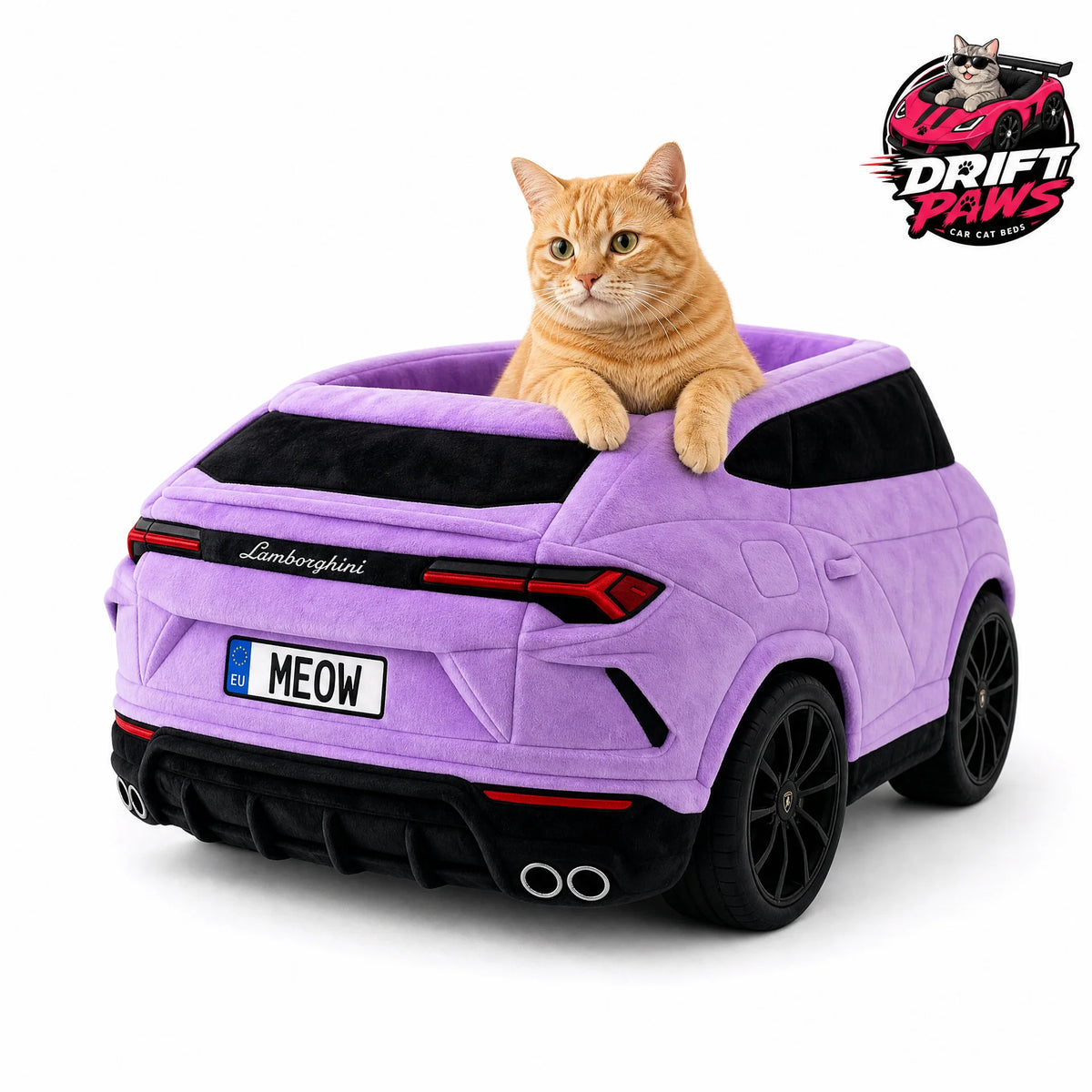 Vue 2 du lit voiture pour chat